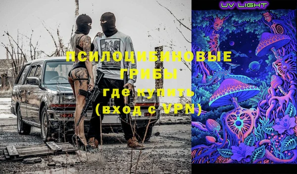 прущие грибы Алзамай