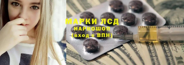 прущие грибы Алзамай
