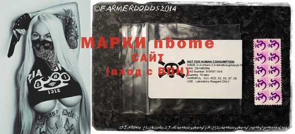 прущие грибы Алзамай