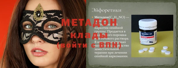 прущие грибы Алзамай