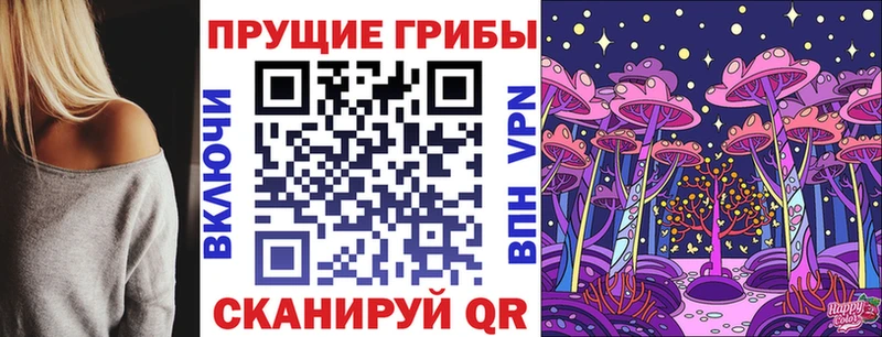 купить   Алатырь  Галлюциногенные грибы ЛСД 